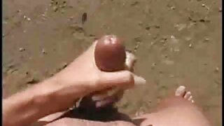 წვრილკუდიანი შავგვრე ...
